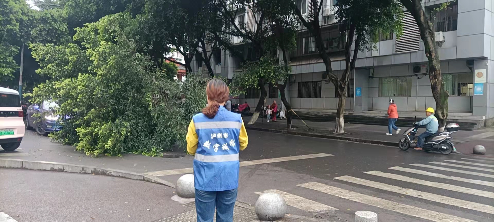 堅持雨后精準采集，共護市民出行安全