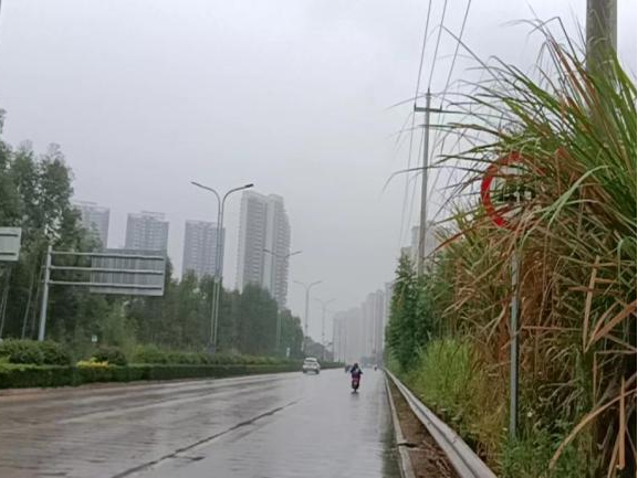 全力以赴戰寒潮，姜汁湯圓暖人心